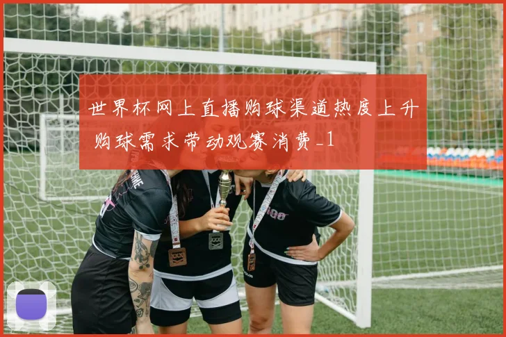世界杯网上直播购球渠道热度上升 购球需求带动观赛消费_1
