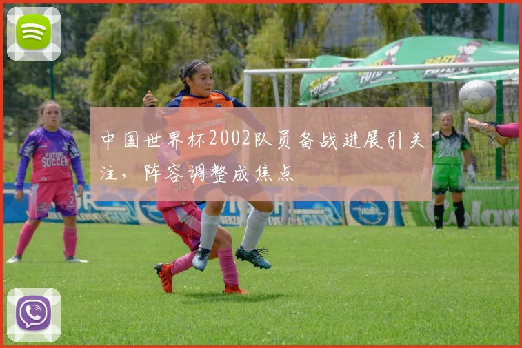 中国世界杯2002队员备战进展引关注，阵容调整成焦点