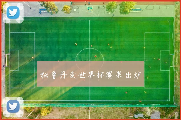 秘鲁丹麦世界杯赛果出炉