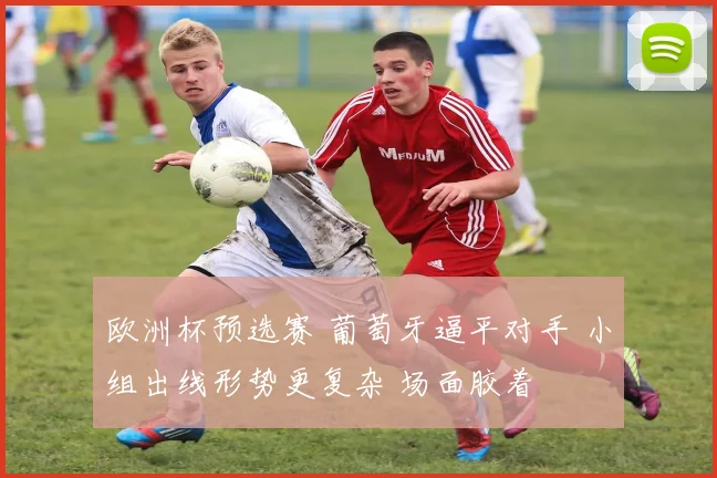 欧洲杯预选赛 葡萄牙逼平对手 小组出线形势更复杂 场面胶着