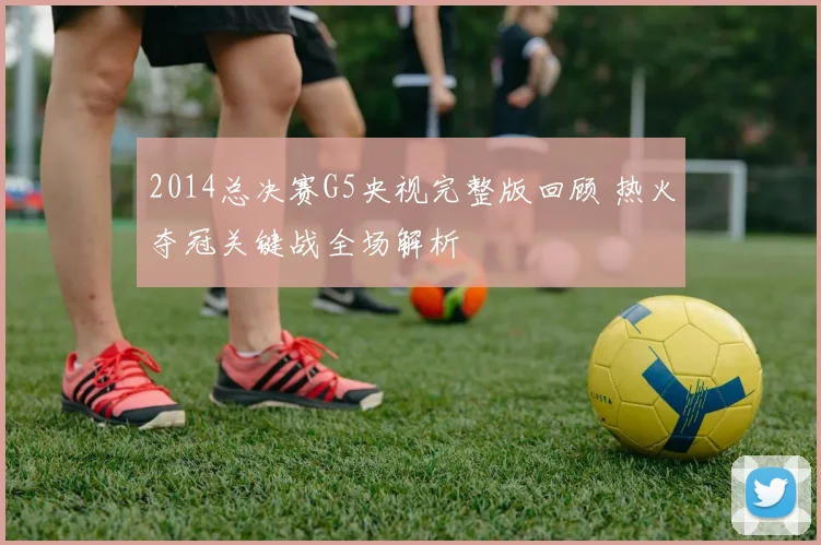 2014总决赛G5央视完整版回顾 热火夺冠关键战全场解析