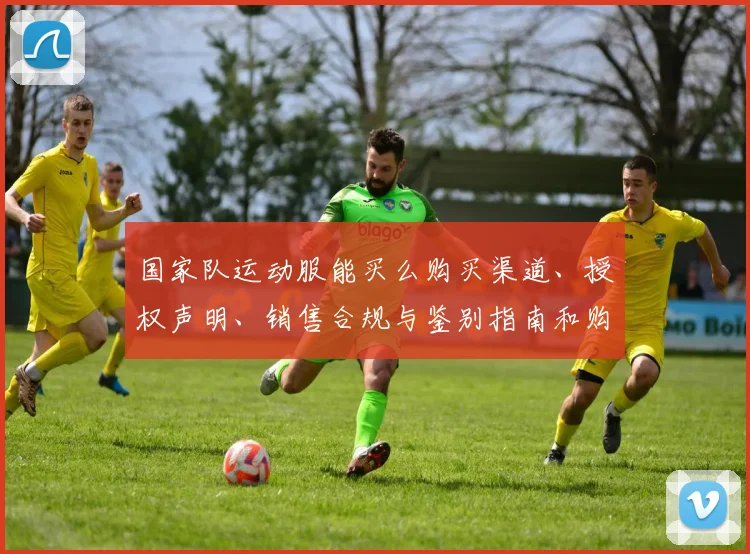 国家队运动服能买么购买渠道、授权声明、销售合规与鉴别指南和购买贴士
